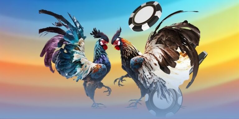 Đá gà trực tiếp giải trí đối kháng chân thực 2026